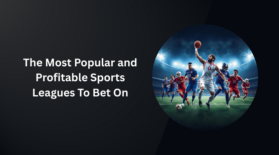 The Most Popular and Profitable Sports Leagues To Bet On